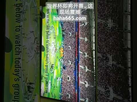 林诗栋队首,战获胜,成功跻身亚,星空体育平台官网,星空体育下载,星空体育直播,星空体育入口,星空体育娱乐